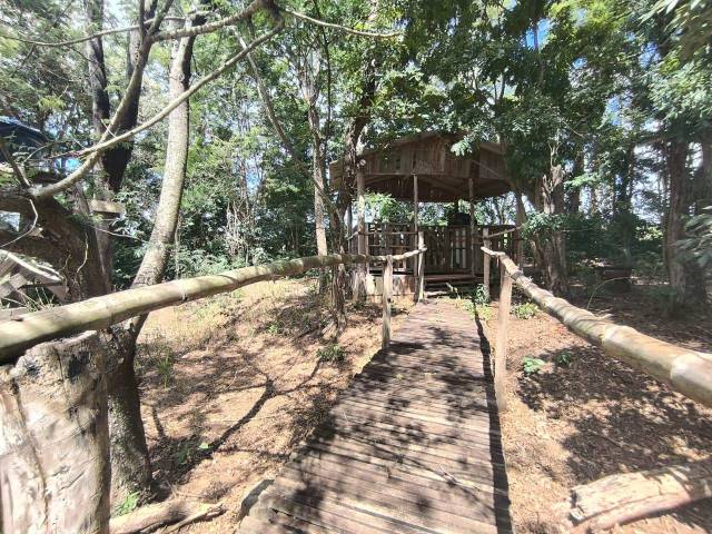 Chácara para Venda em Siqueira Campos - 4