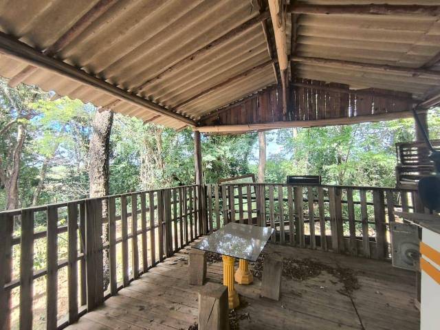 Chácara para Venda em Siqueira Campos - 5