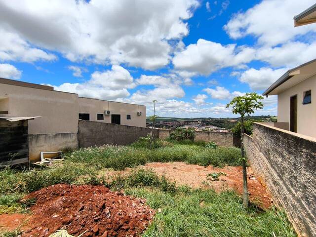 Terreno para Venda em Siqueira Campos - 4