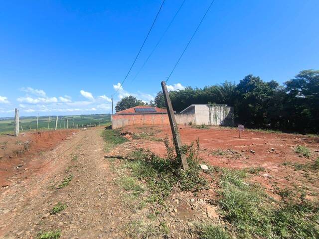 Terreno para Venda em Siqueira Campos - 4
