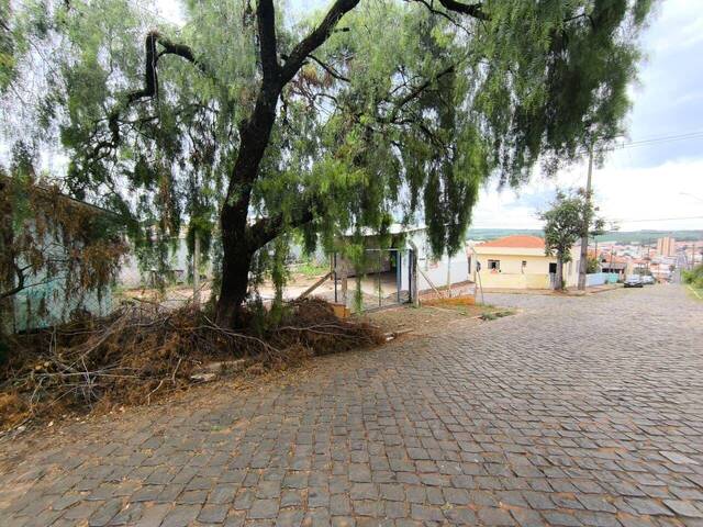 #4200 - Sala para Locação em Siqueira Campos - PR - 3