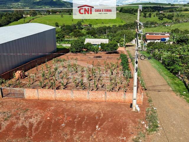 #4206 - Terreno para Venda em Siqueira Campos - PR - 1