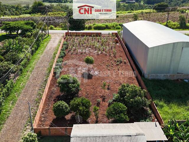 #4206 - Terreno para Venda em Siqueira Campos - PR - 3