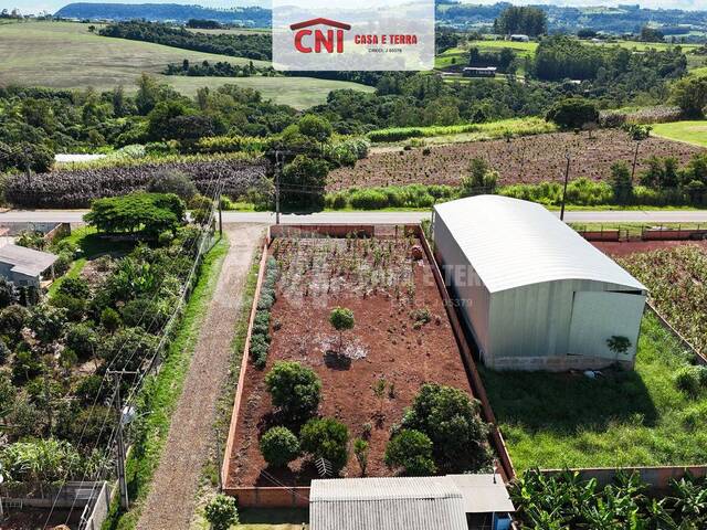 Terreno para Venda em Siqueira Campos - 4