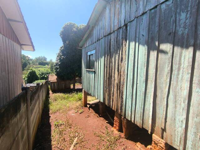 Terreno para Venda em Siqueira Campos - 5