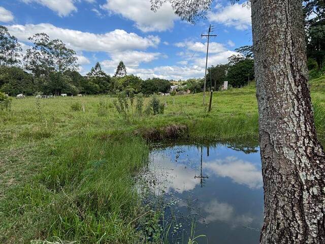 #4220 - Chácara para Venda em Joaquim Távora - PR - 3