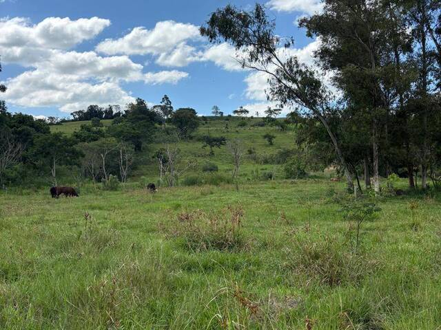 Chácara para Venda em Joaquim Távora - 4