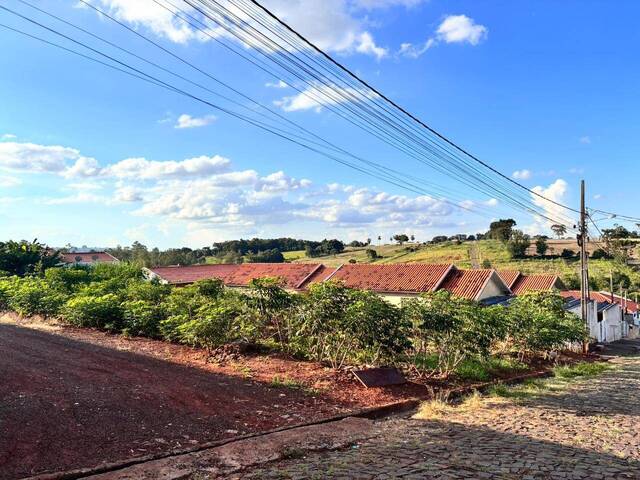 Terreno para Venda em Siqueira Campos - 4