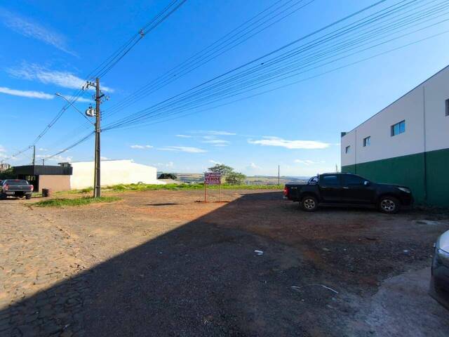 Terreno para Venda em Siqueira Campos - 5