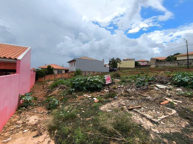 #4241 - Terreno para Venda em Siqueira Campos - PR - 3