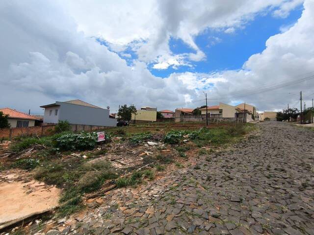 Terreno para Venda em Siqueira Campos - 4