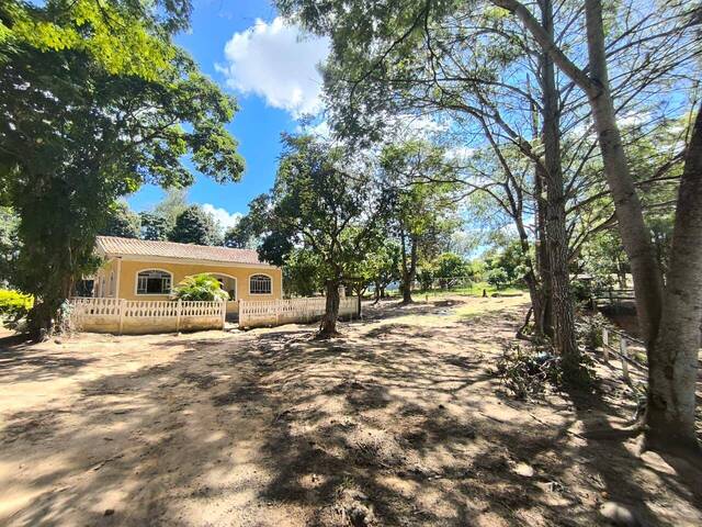 #4242 - Chácara para Venda em Siqueira Campos - PR - 3