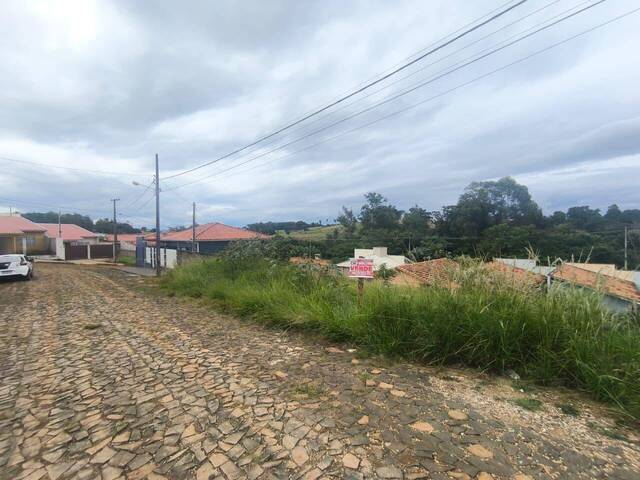 Terreno para Venda em Siqueira Campos - 4