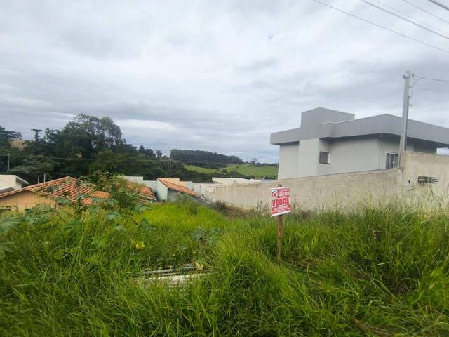 Terreno para Venda em Siqueira Campos - 5
