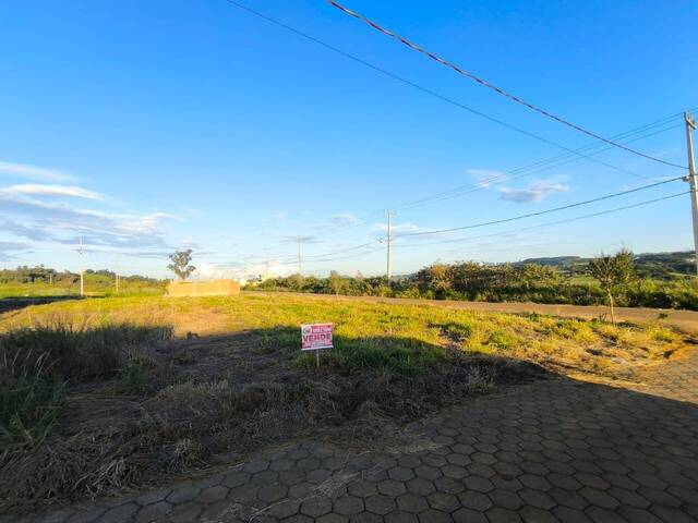 Terreno para Venda em Siqueira Campos - 2