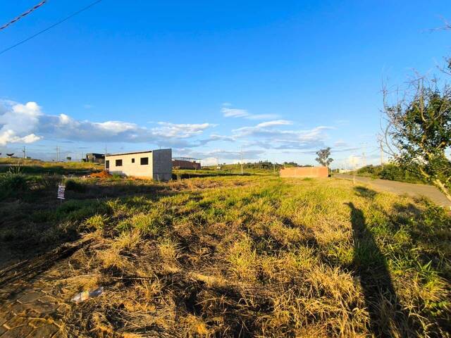 Terreno para Venda em Siqueira Campos - 4