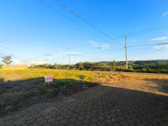 Terreno para Venda em Siqueira Campos - 3