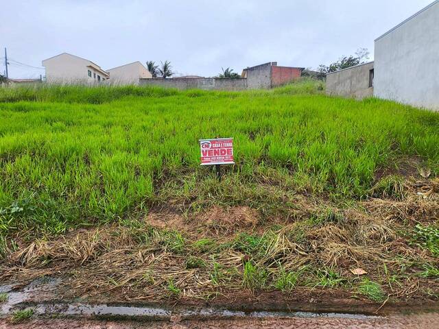 Terreno para Venda em Siqueira Campos - 2