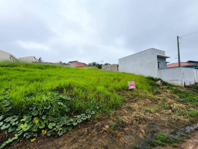 Terreno para Venda em Siqueira Campos - 3