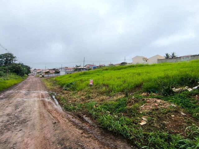 Terreno para Venda em Siqueira Campos - 4