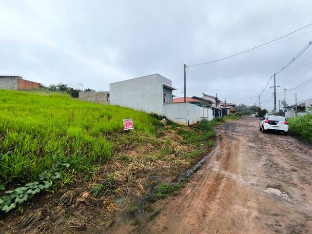 Terreno para Venda em Siqueira Campos - 5