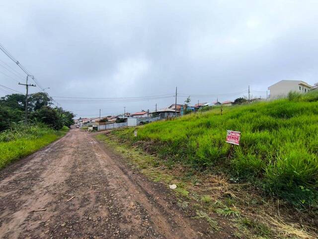 #4288 - Terreno para Venda em Siqueira Campos - PR - 3
