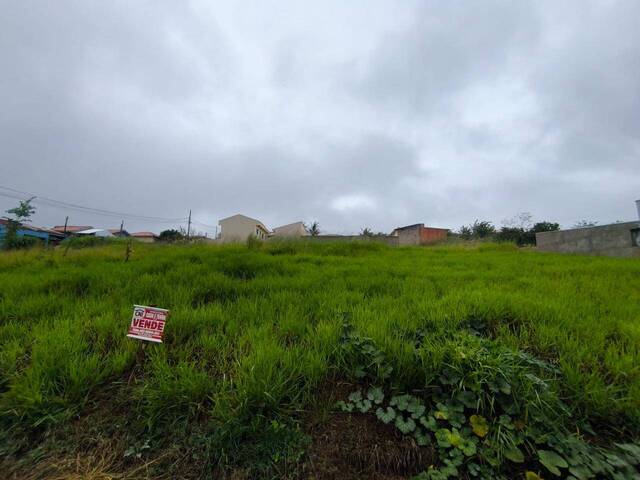 #4288 - Terreno para Venda em Siqueira Campos - PR - 2