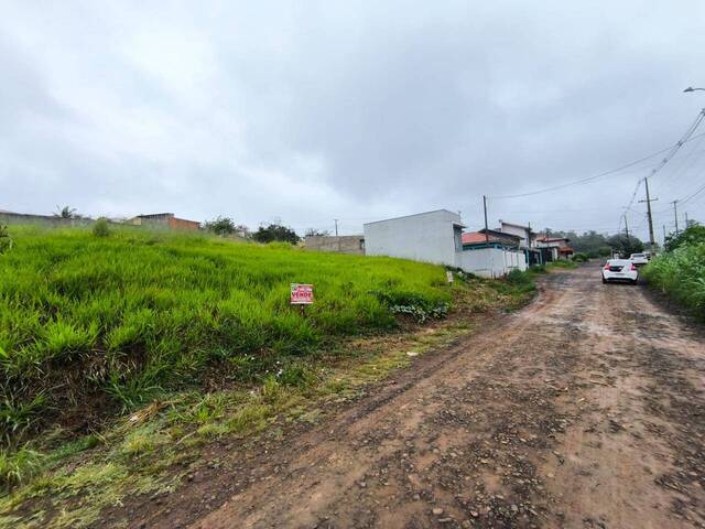 Terreno para Venda em Siqueira Campos - 4