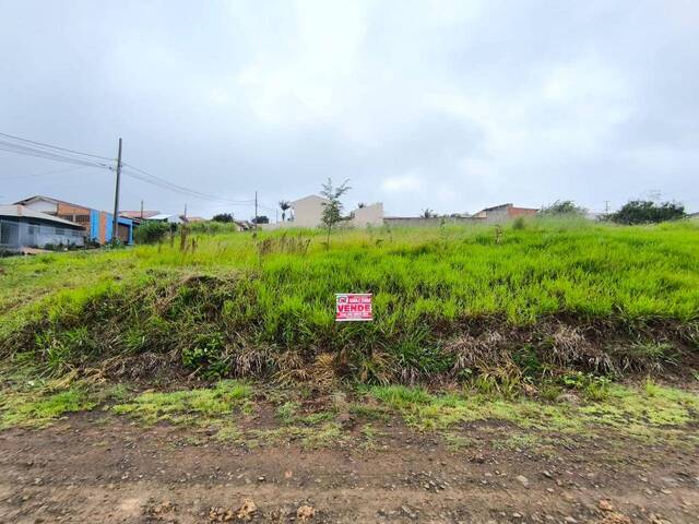#4290 - Terreno para Venda em Siqueira Campos - PR - 1