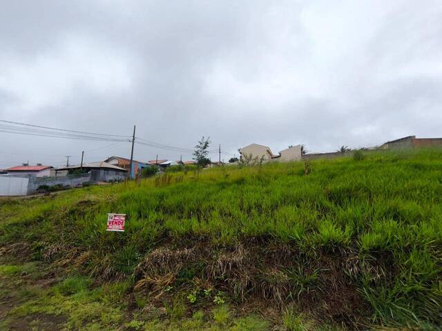 #4290 - Terreno para Venda em Siqueira Campos - PR - 2