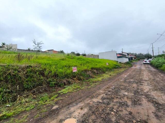 #4290 - Terreno para Venda em Siqueira Campos - PR - 3