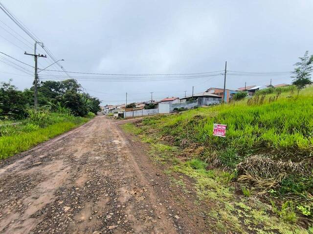 Terreno para Venda em Siqueira Campos - 4