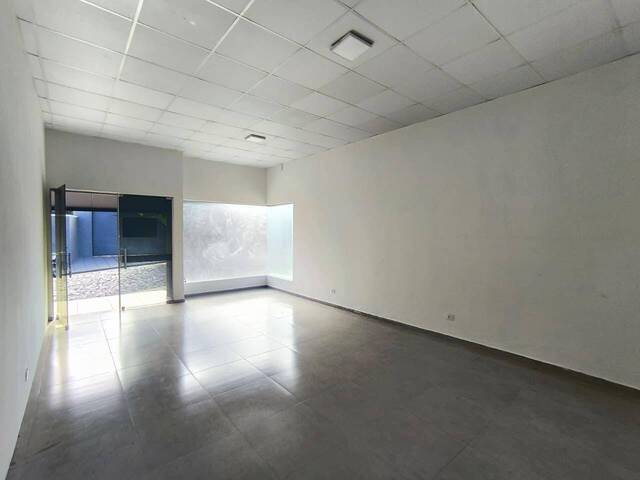 Sala para Locação em Siqueira Campos - 4