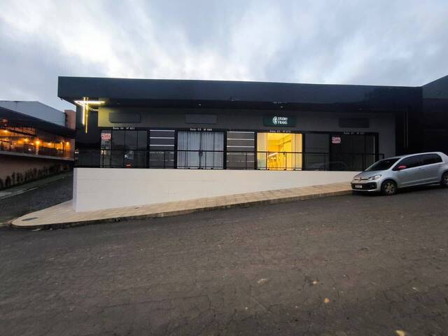 Sala para Locação em Siqueira Campos - 2
