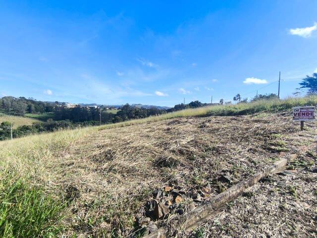 Terreno para Venda em Siqueira Campos - 5