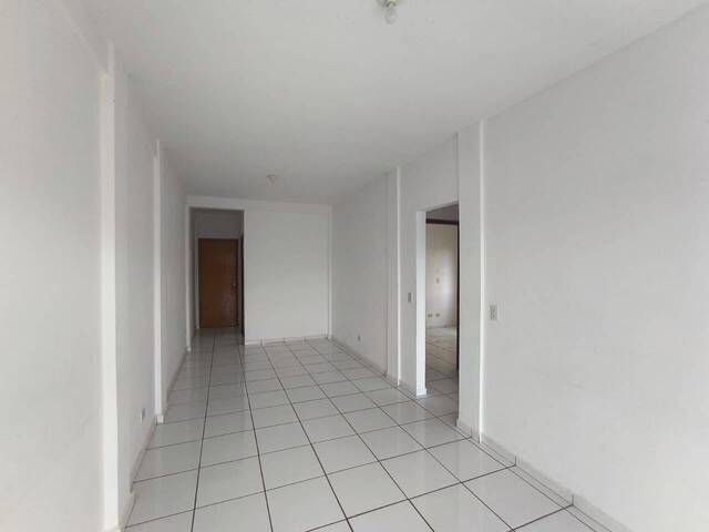 Casa para Locação em Siqueira Campos - 5