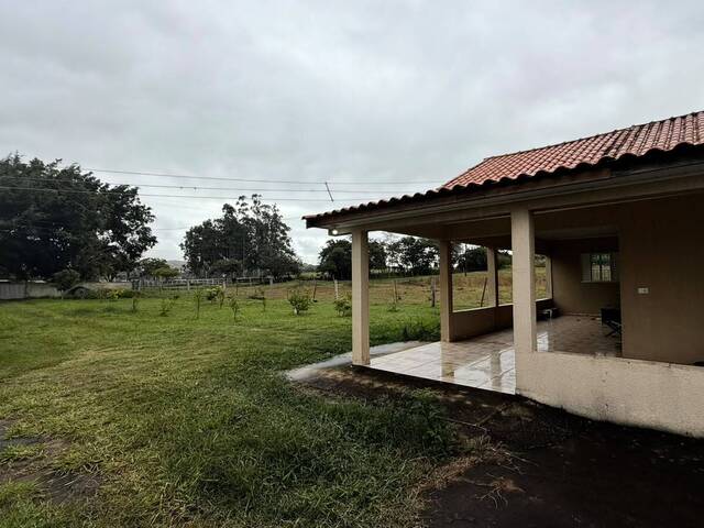 #4335 - Chácara para Venda em Londrina - PR - 2
