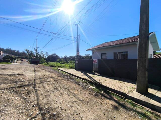 Casa para Locação em Siqueira Campos - 3