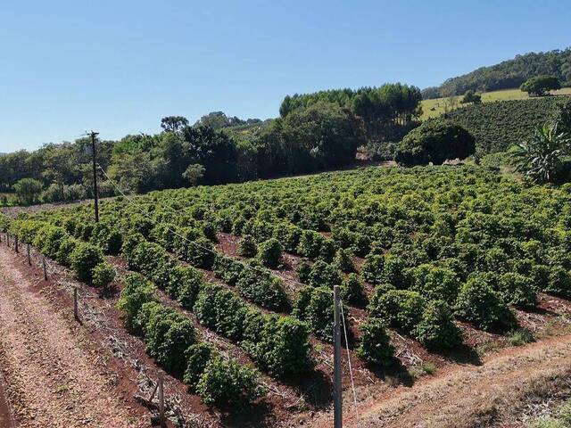 Chácara para Venda em Siqueira Campos - 5