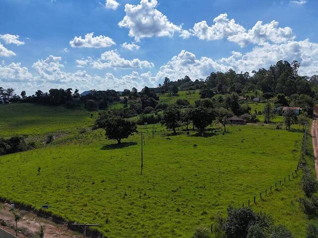 Sítio para Venda em Siqueira Campos - 4