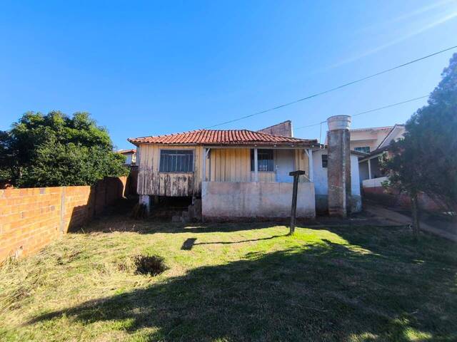 Terreno para Venda em Siqueira Campos - 4