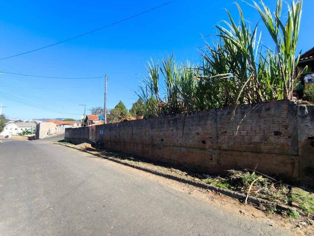 #4347 - Terreno para Venda em Siqueira Campos - PR - 2