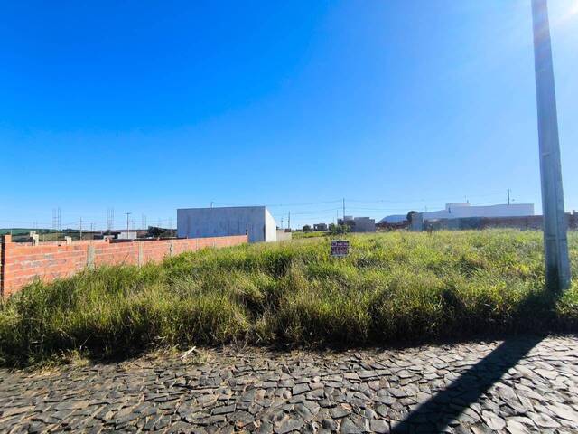 #4369 - Terreno para Venda em Siqueira Campos - PR - 1