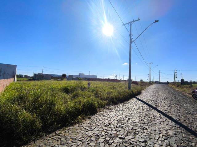 #4369 - Terreno para Venda em Siqueira Campos - PR - 3