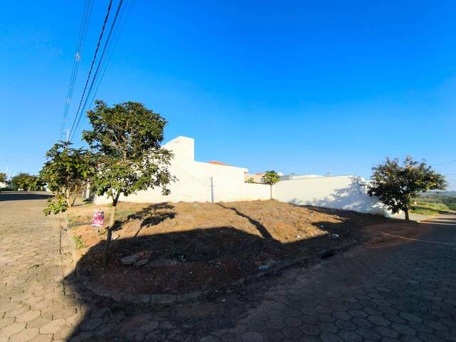 Terreno para Venda em Siqueira Campos - 4
