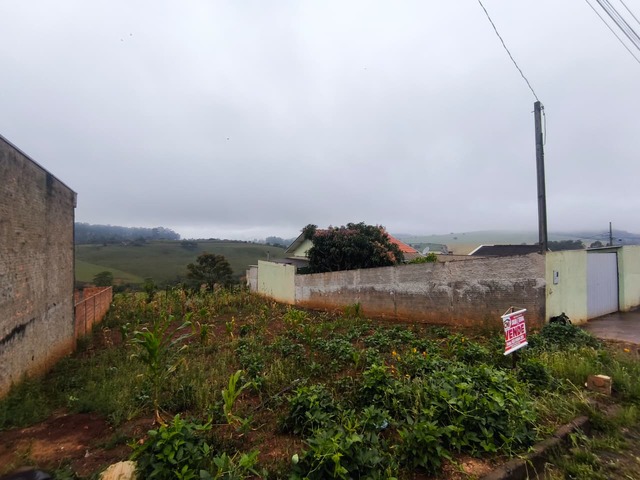 Terreno para Venda em Siqueira Campos - 4