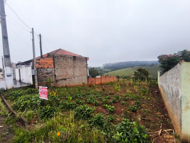 Terreno para Venda em Siqueira Campos - 5