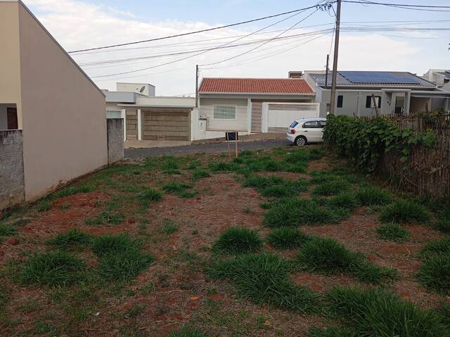 #4381 - Área para Venda em Wenceslau Braz - PR - 2