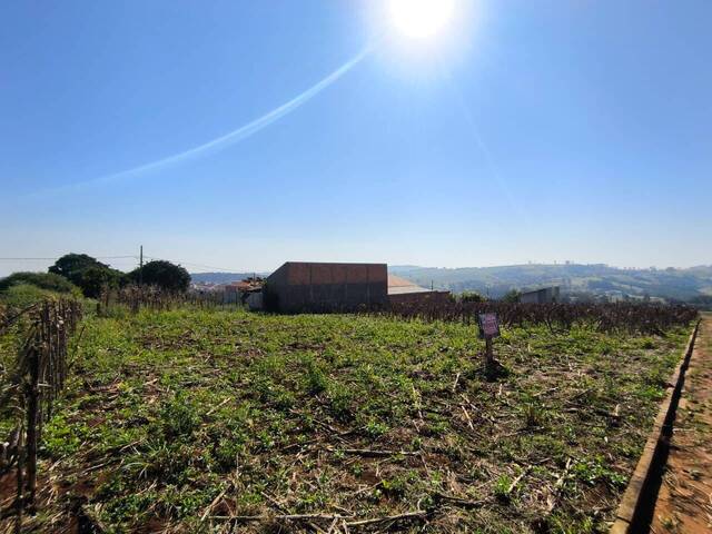 Terreno para Venda em Siqueira Campos - 4