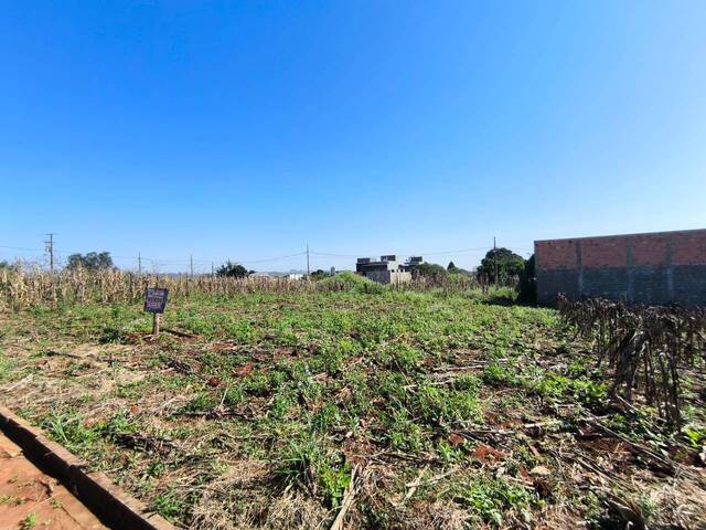 Terreno para Venda em Siqueira Campos - 5